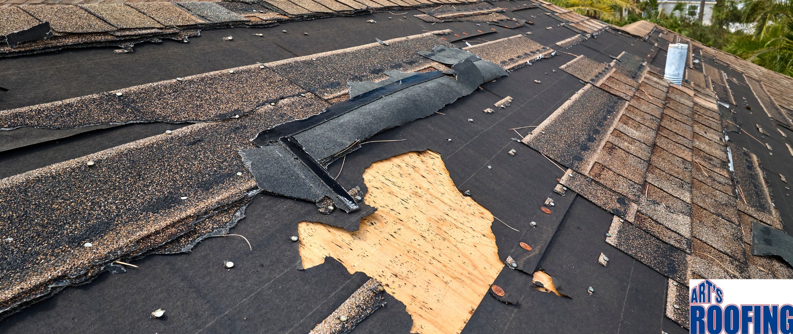 roofing company Brazoria County TX